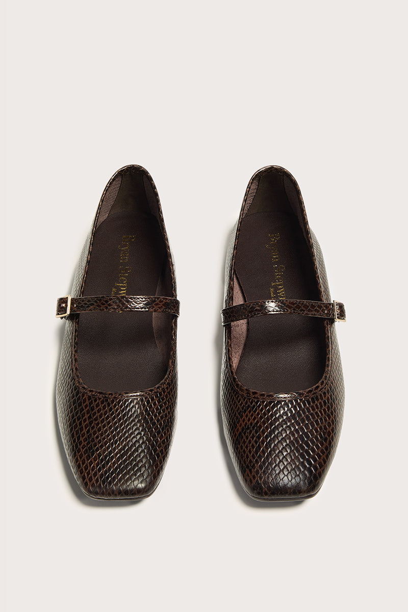 SERPIENTE CAFÉ - NICOLLE