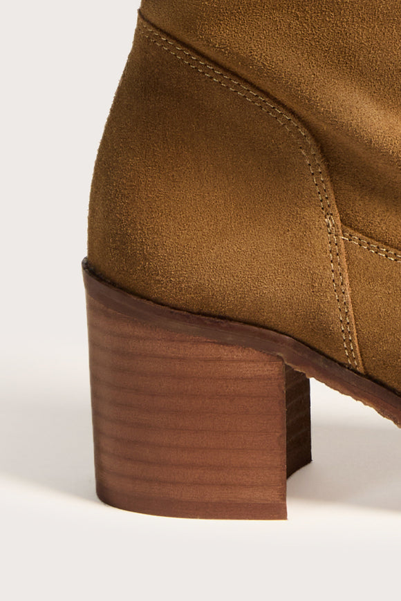 Camel - VALENTINA - Bryan Stepwise