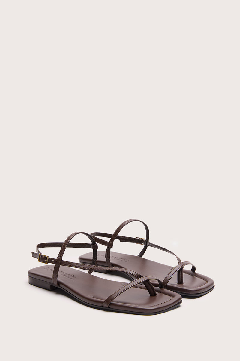 FLAT BROWN - SIENA