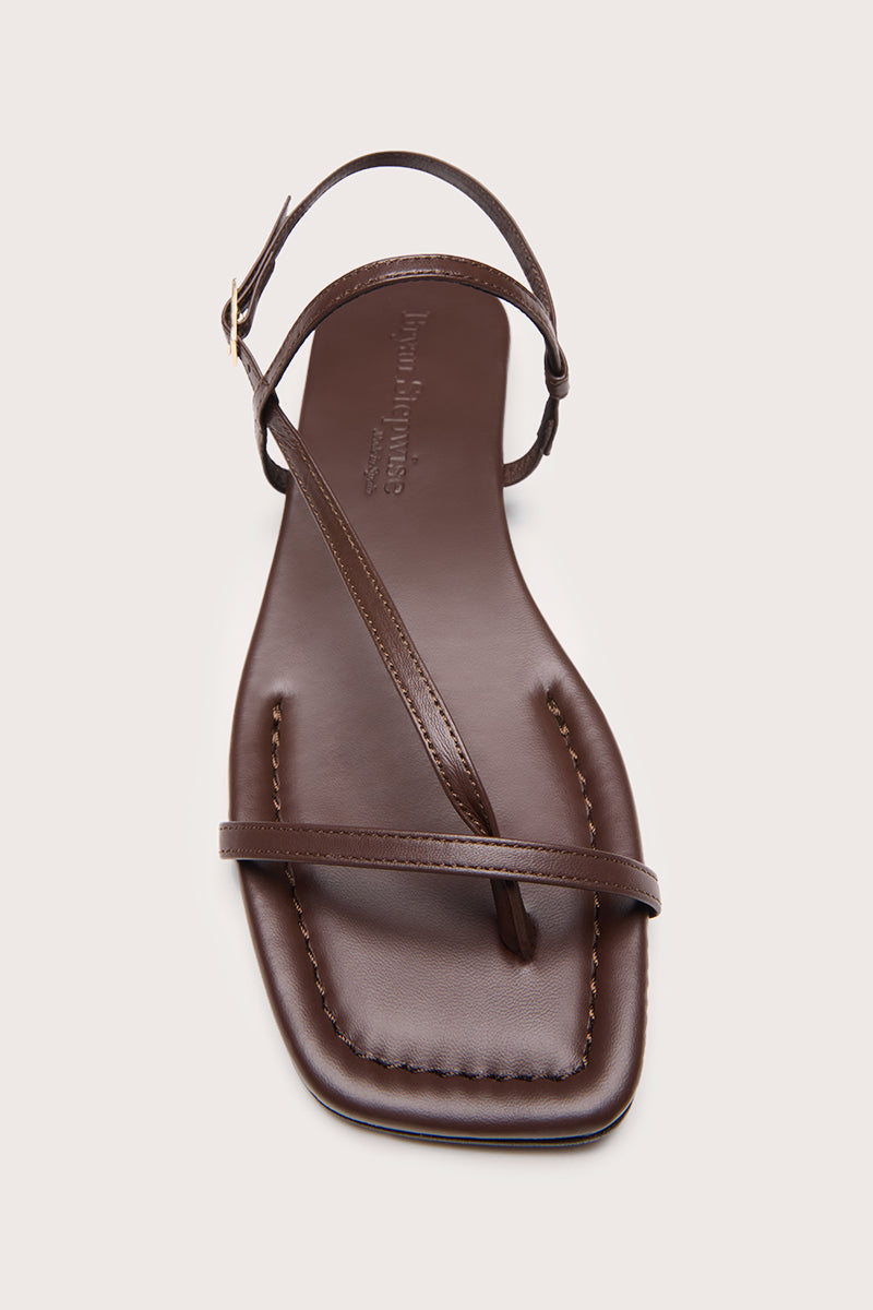 FLAT BROWN - SIENA