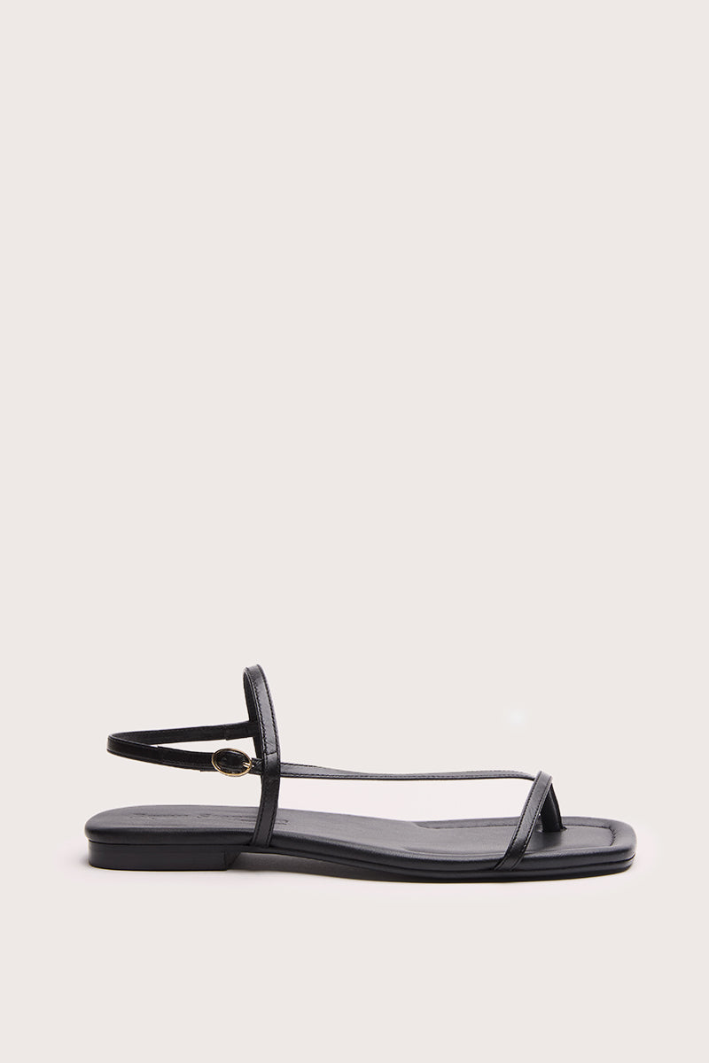 NEGRO - SIENA