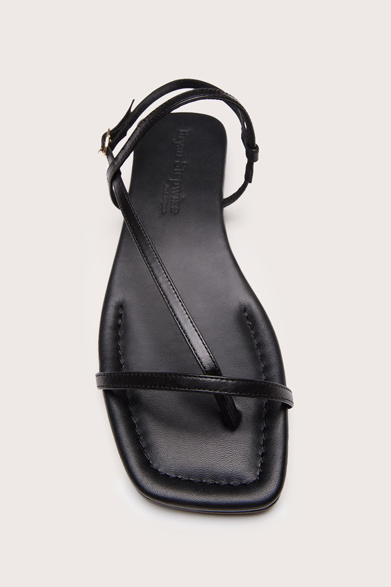 NEGRO - SIENA