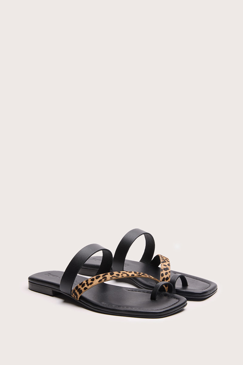Leopardo - ZOE