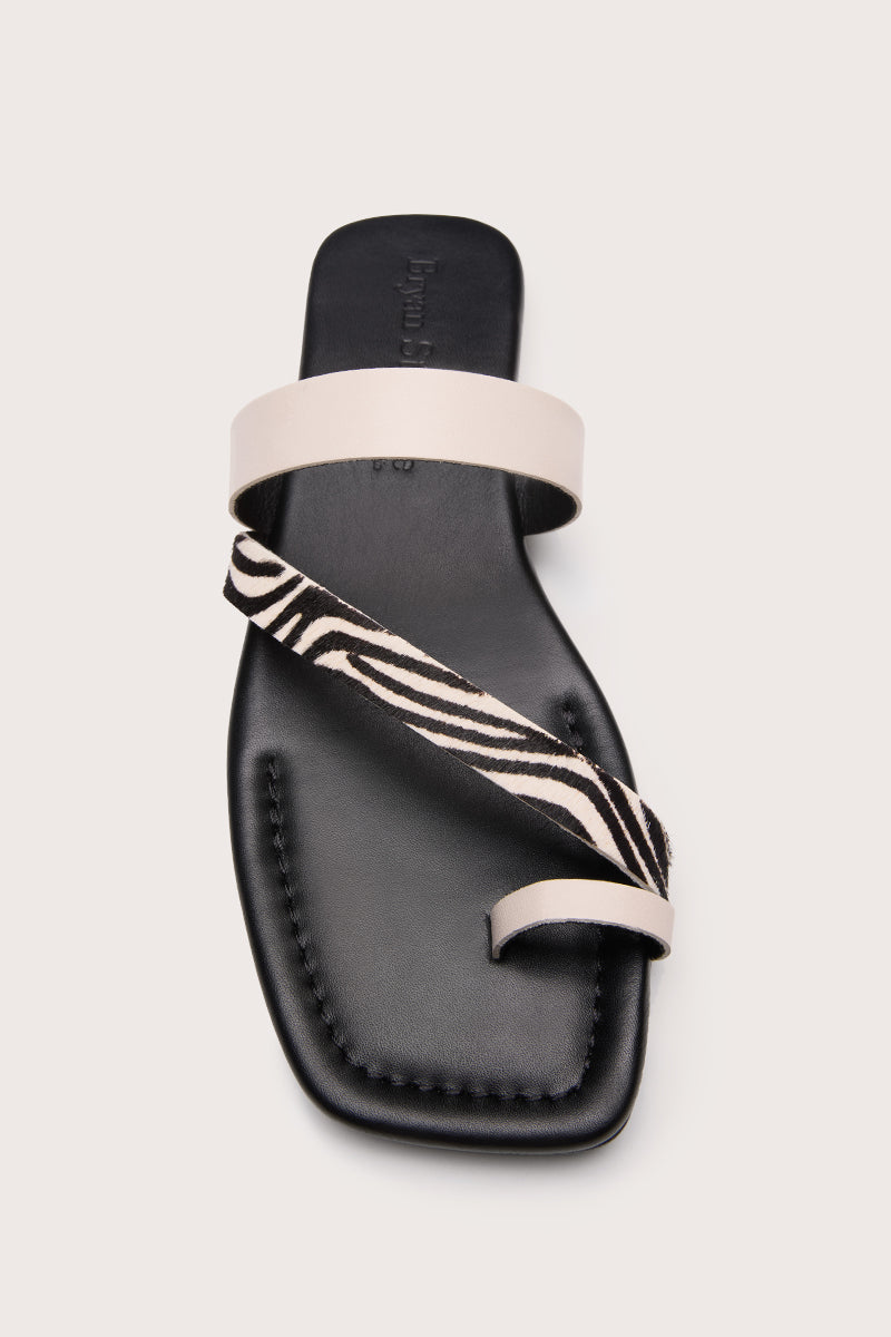Zebra - ZOE