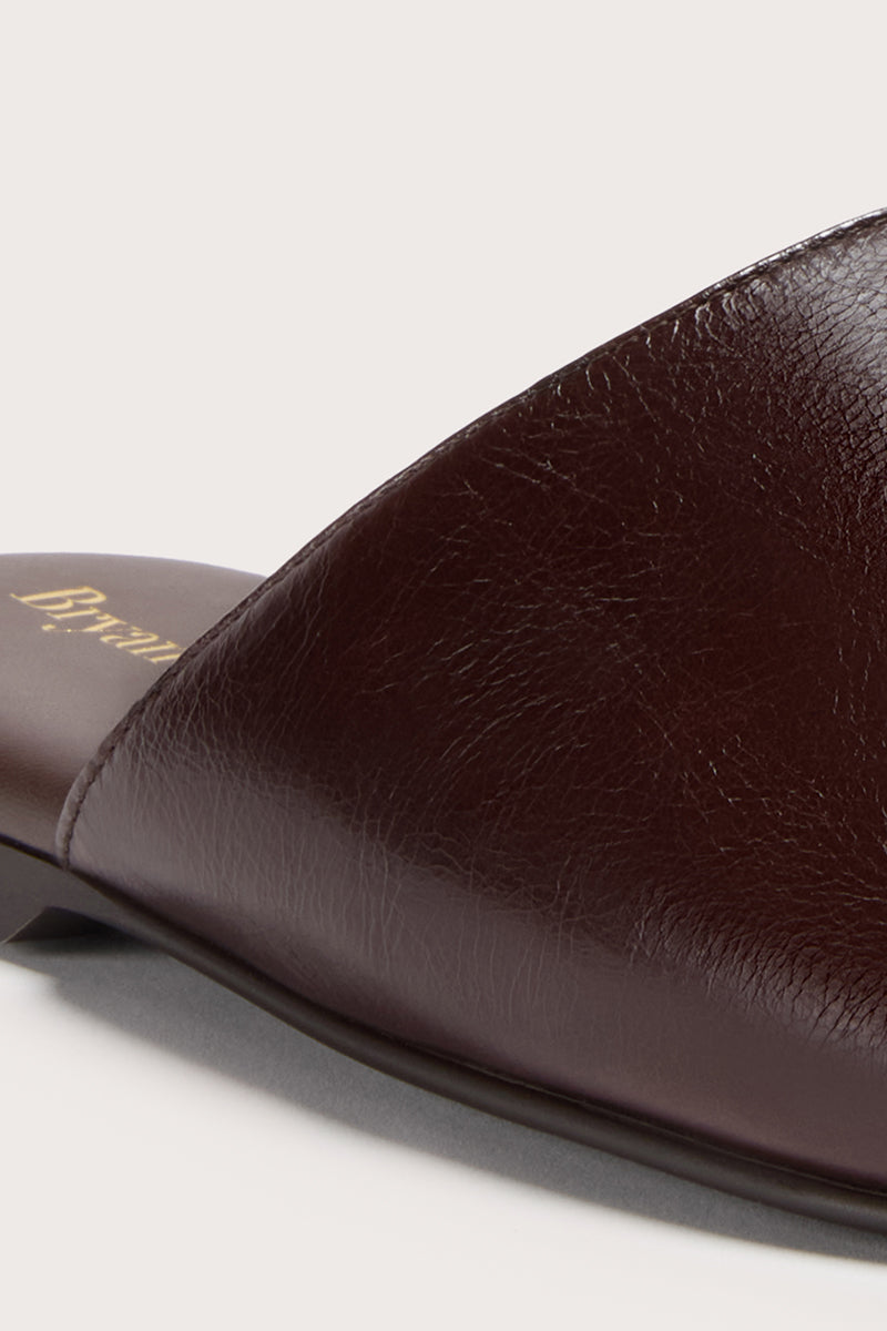 TERRA CHOCOLATE - JUDE