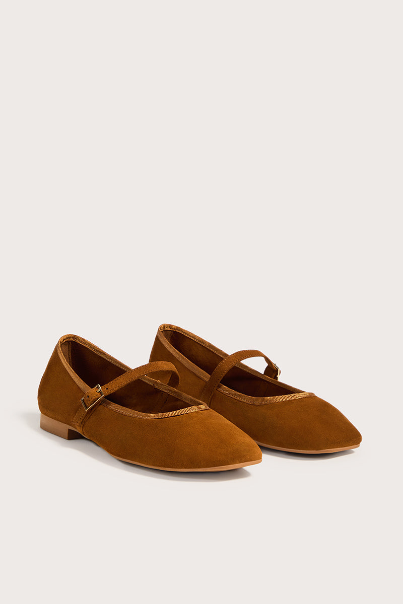 CAMEL - NICOLLE - Bryan Stepwise
