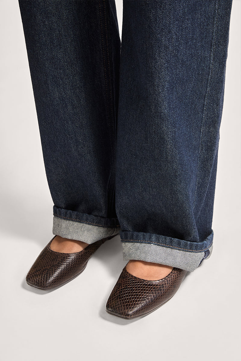 BROWN SNAKE - NICOLLE