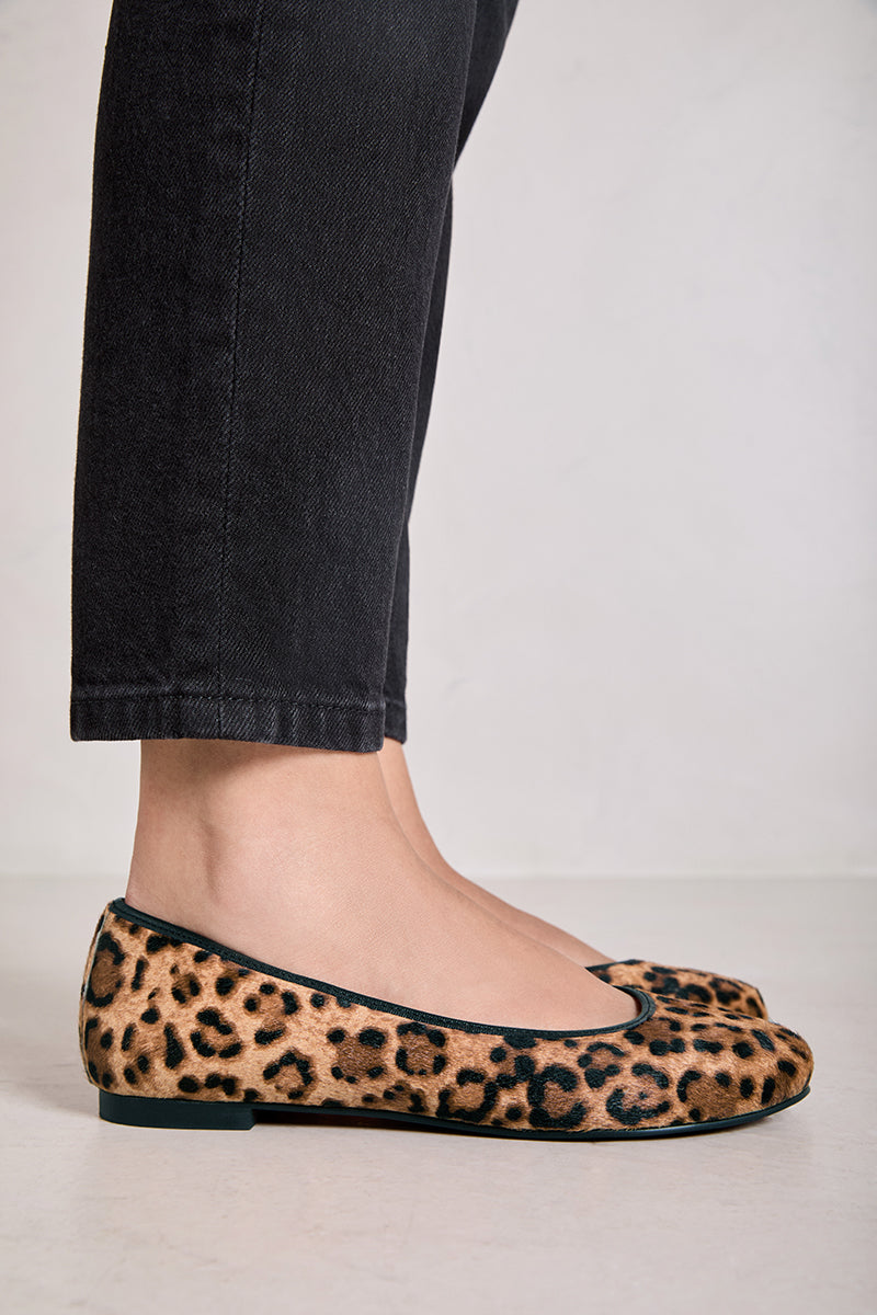 LEOPARDO - LIZ