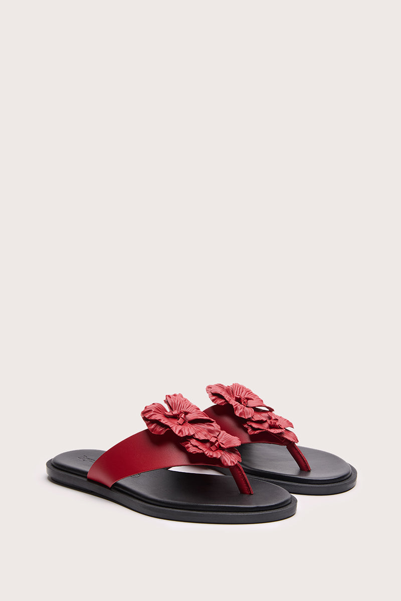 FLAT RED - BARI
