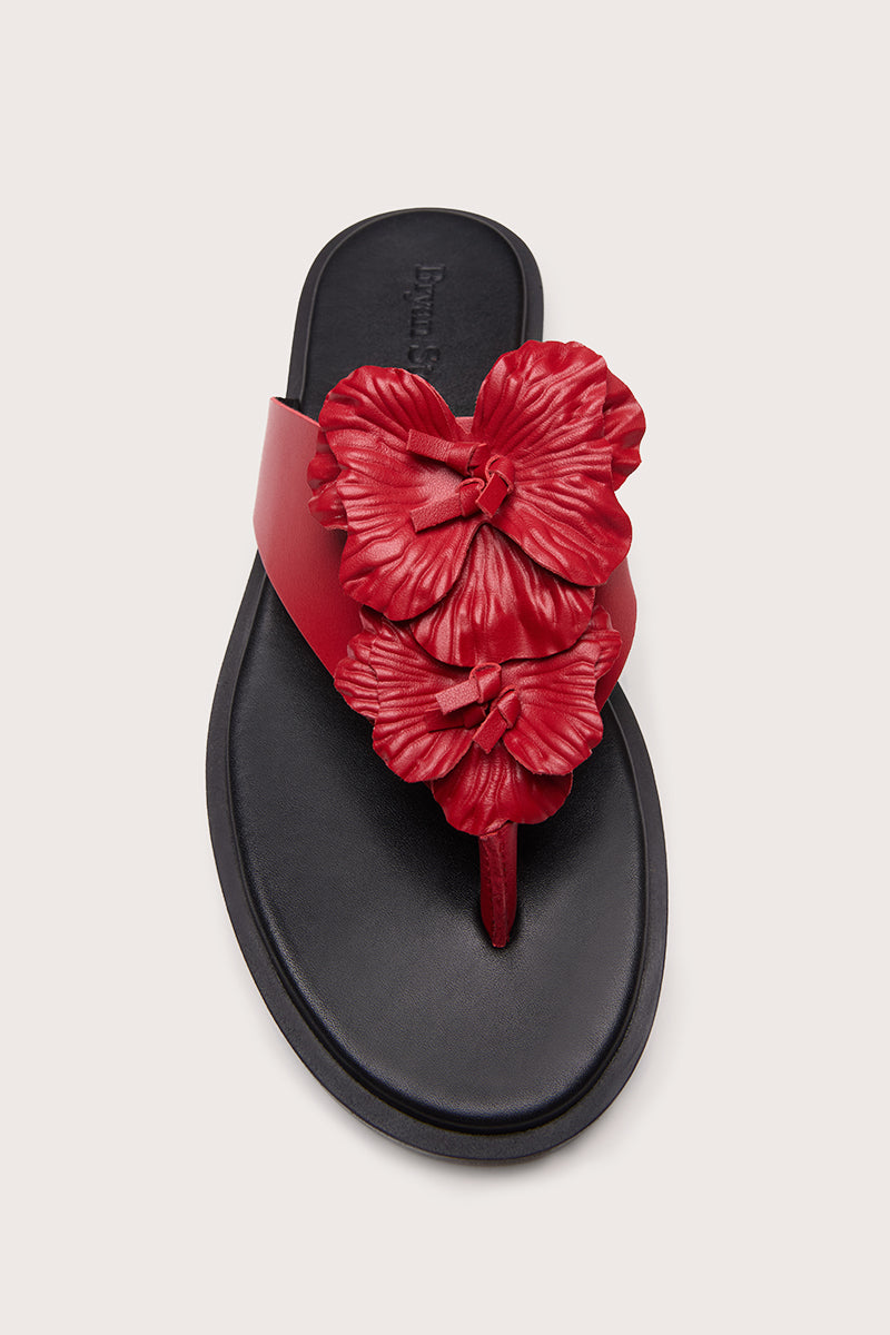 FLAT RED - BARI