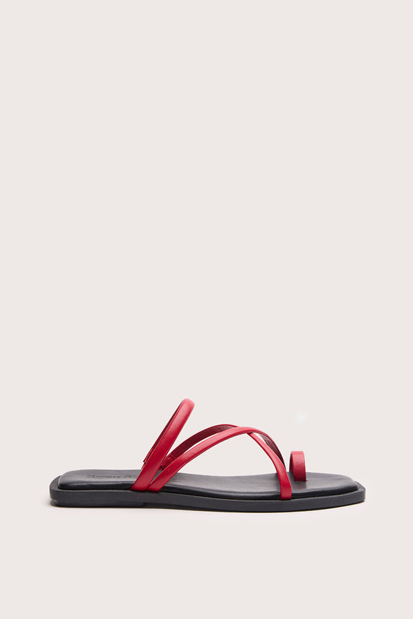 FLAT RED - MARZA