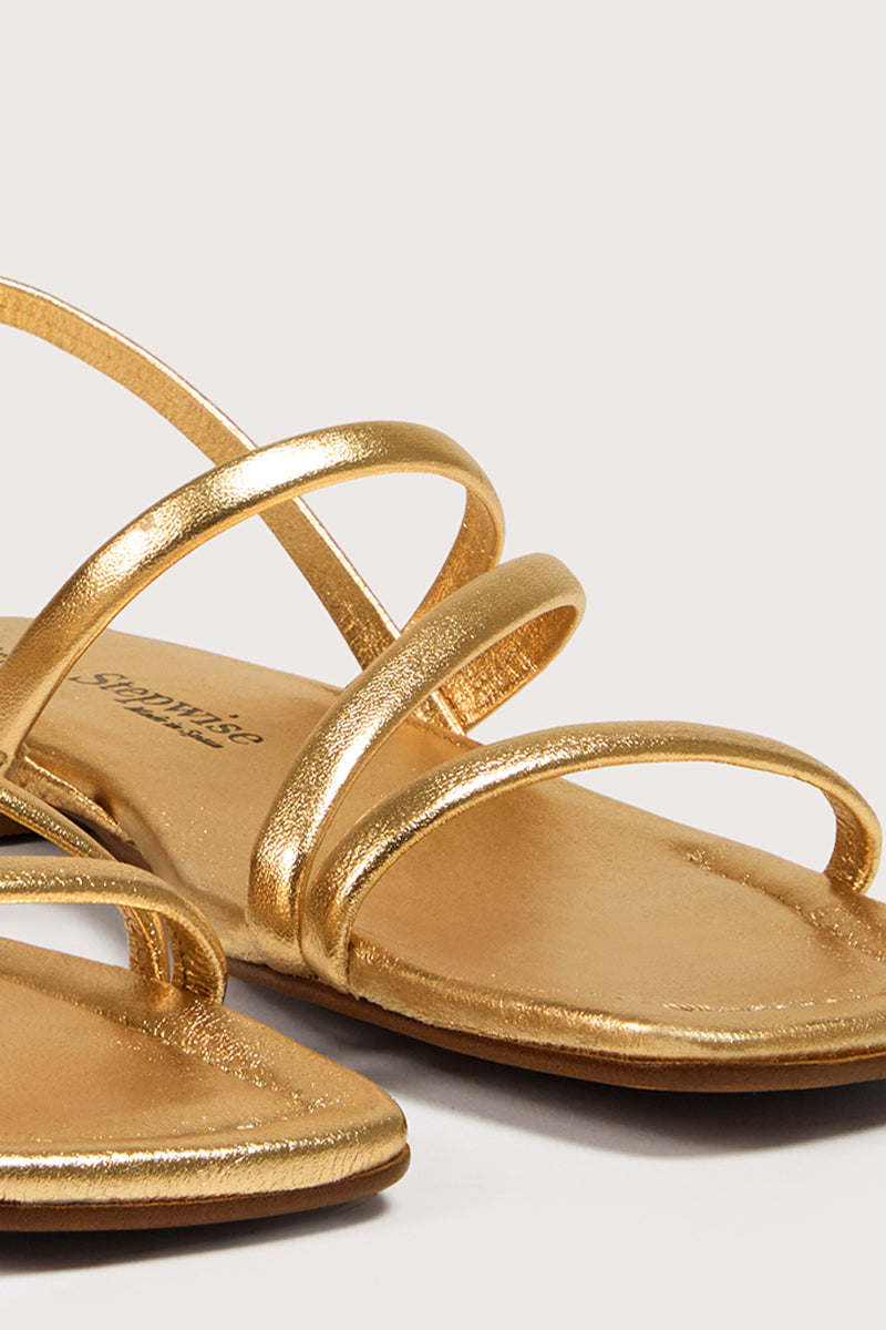 Dorado - Roma tobillo