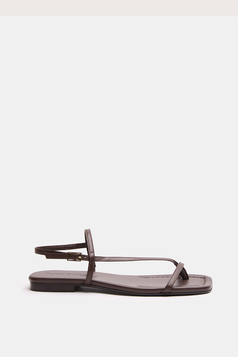 FLAT BROWN - SIENA
