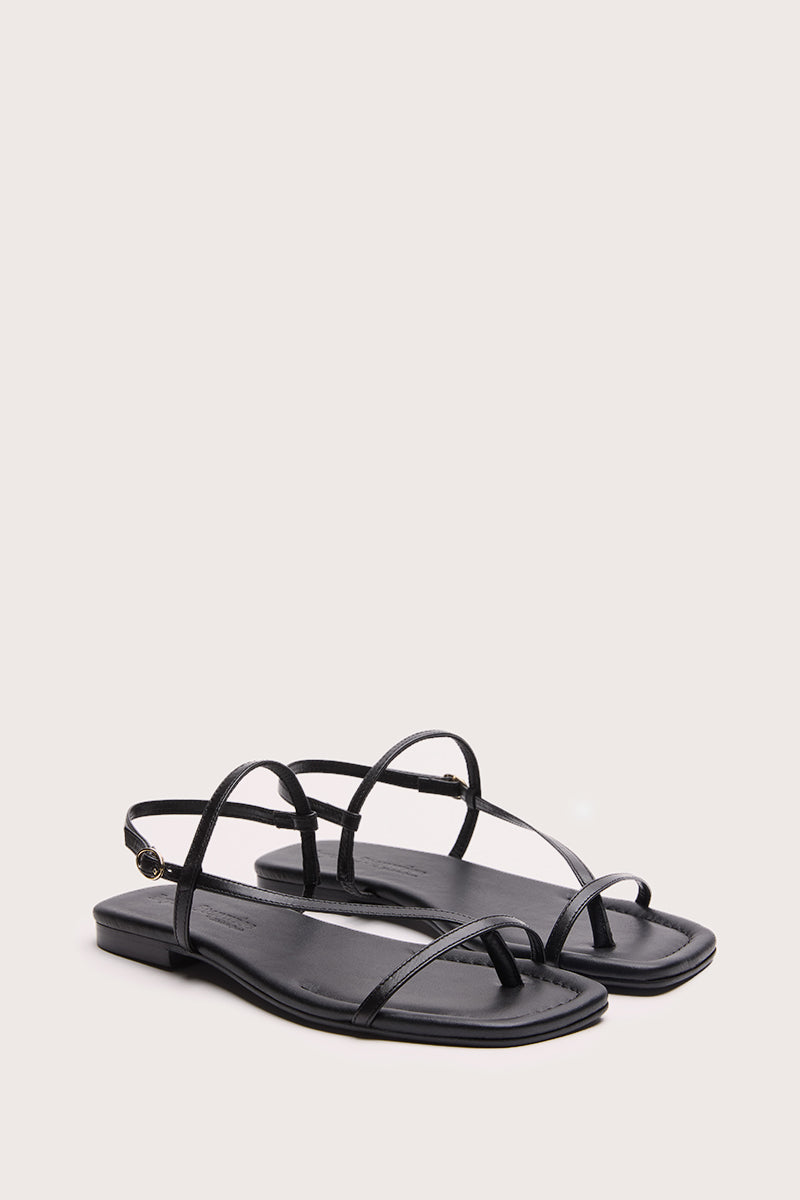 NEGRO - SIENA